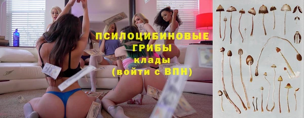 бошки Алексеевка